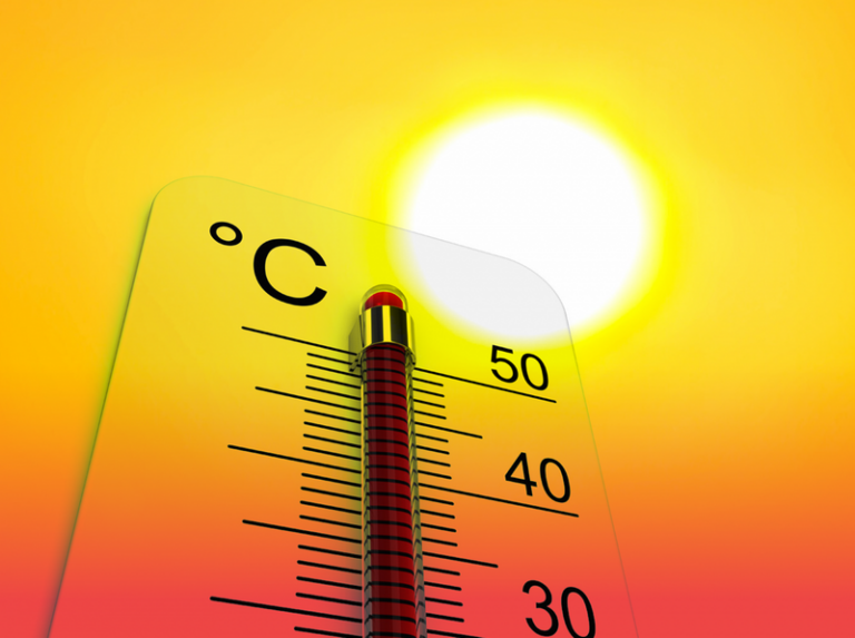 Lire la suite à propos de l’article Plan canicule 2020 au MEF